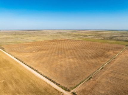 Undeveloped Land for sale in Cimarron County, Oklahoma