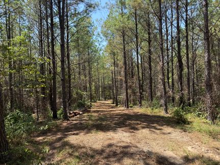 Land for sale in Fayette County, Alabama