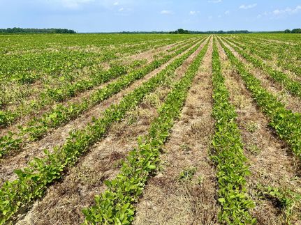 Farm and Ranch for sale in Macon County, Georgia