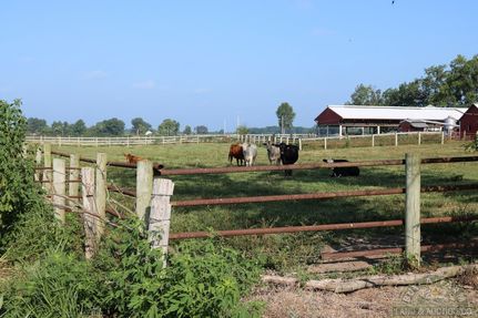 Land for sale in Wayne County, Illinois