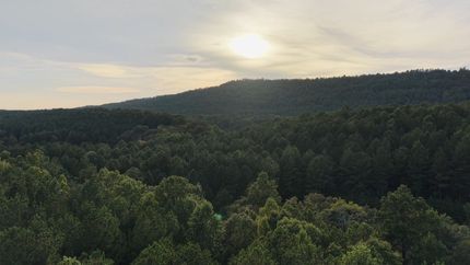 Land for sale in Shelby County, Alabama