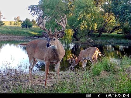 Land for sale in Dickinson County, Kansas