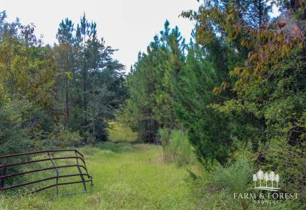 Land for sale in Washington County, Florida