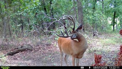 Land for sale in Cherokee County, Kansas