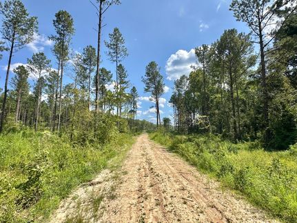 Farm and Ranch for sale in Simpson County, Mississippi