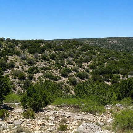 Land for sale in Val Verde County, Texas