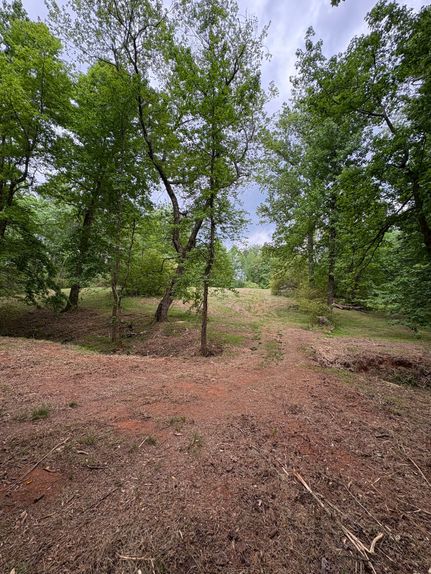 Undeveloped Land for sale in Hall County, Georgia