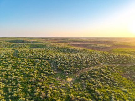 Land for sale in Kearny County, Kansas