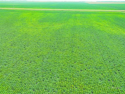 Land for sale in Pembina County, North Dakota