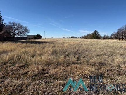 Homesite for sale in Curry County, New Mexico