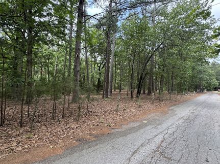 Undeveloped Land for sale in Lamar County, Texas