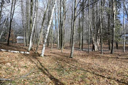 Recreational Property for sale in Osceola County, Michigan