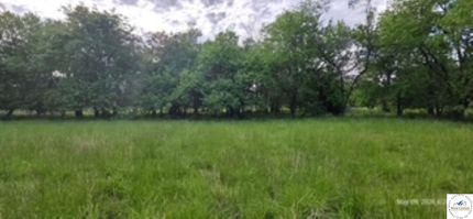 Undeveloped Land for sale in Henry County, Missouri
