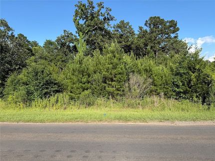 Undeveloped Land for sale in Angelina County, Texas