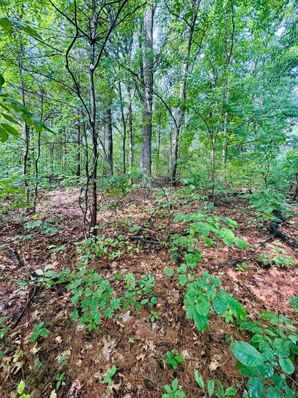 Undeveloped Land for sale in Greene County, Indiana