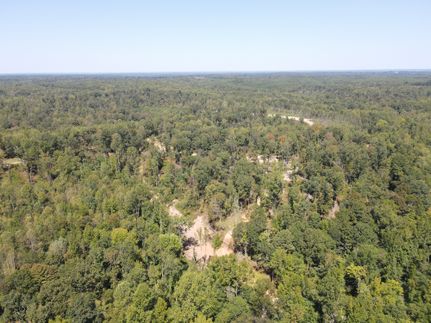 Timberland Property for sale in Henry County, Tennessee