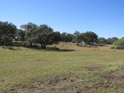 Undeveloped Land for sale in Menard County, Texas