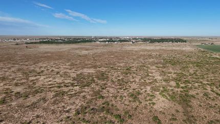 Undeveloped Land for sale in Yoakum County, Texas
