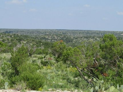 Hunting Property for sale in Val Verde County, Texas