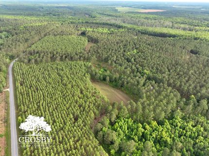 Land for sale in Hampton County, South Carolina