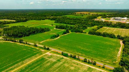 Undeveloped Land for sale in Berrien County, Georgia