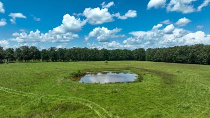 Land for sale in Clay County, Mississippi