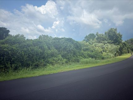 Undeveloped Land for sale in Chambers County, Alabama