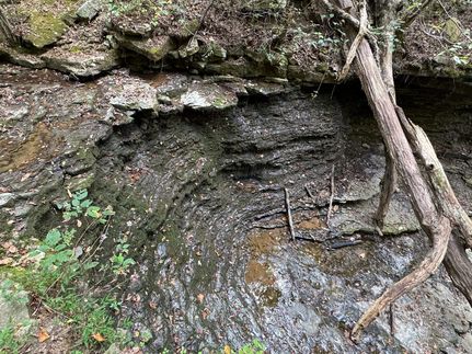 Land for sale in Van Buren County, Arkansas