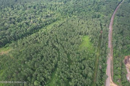 Land for sale in Amite County, Mississippi
