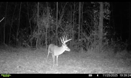 Land for sale in Lee County, Arkansas