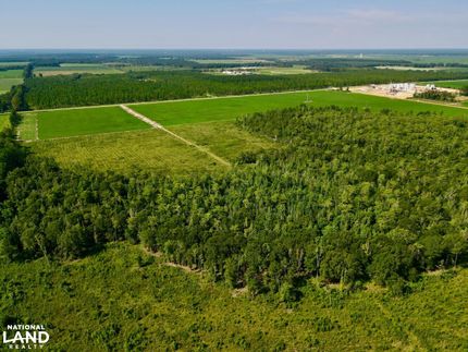 Farm and Ranch for sale in Escambia County, Alabama