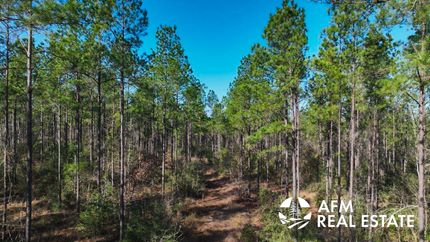 Undeveloped Land for sale in Houston County, Texas