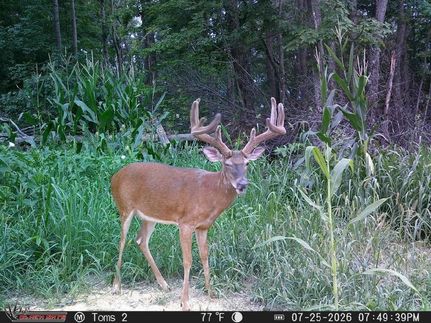 Land for sale in Adams County, Ohio