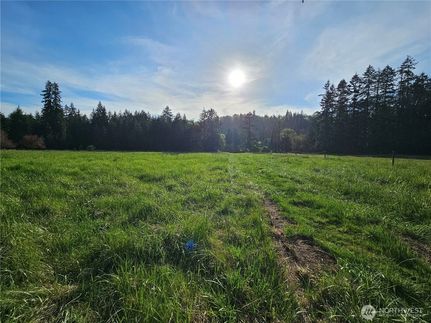 Undeveloped Land for sale in Grays Harbor County, Washington
