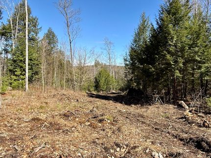 Undeveloped Land for sale in Oxford County, Maine