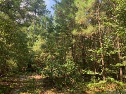 Land for sale in Saline County, Arkansas