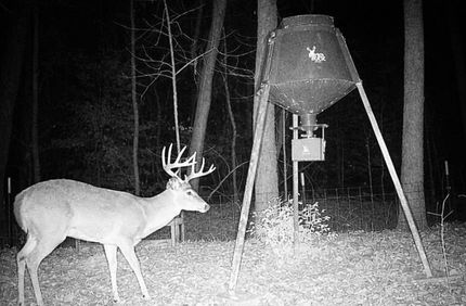 Land for sale in Sevier County, Arkansas