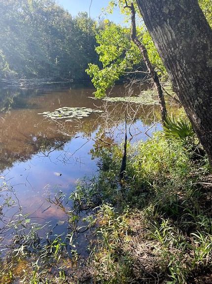 Land for sale in San Jacinto County, Texas