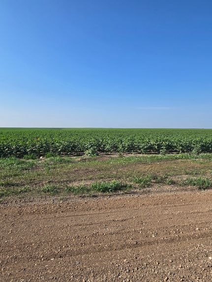 Land for sale in Sully County, South Dakota
