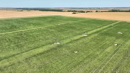 Undeveloped Land for sale in Sumner County, Kansas
