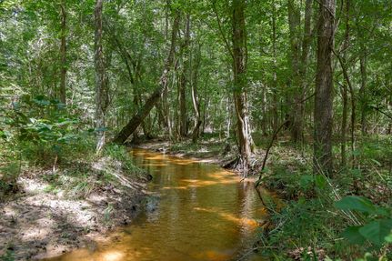 Undeveloped Land for sale in Bleckley County, Georgia
