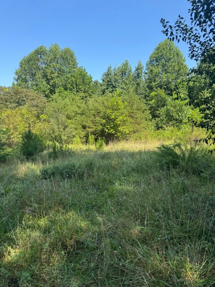 Land for sale in Grundy County, Tennessee