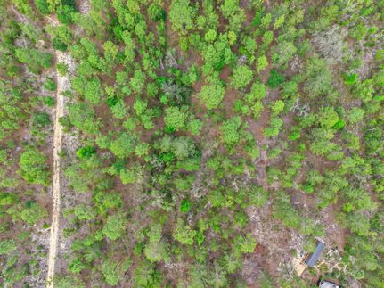 Land for sale in Putnam County, Florida