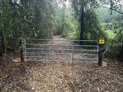 Land for sale in Escambia County, Alabama