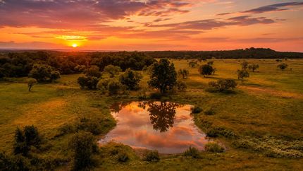 Undeveloped Land for sale in Lampasas County, Texas