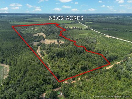 Land for sale in Dodge County, Georgia