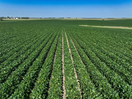 Land for sale in Palo Alto County, Iowa