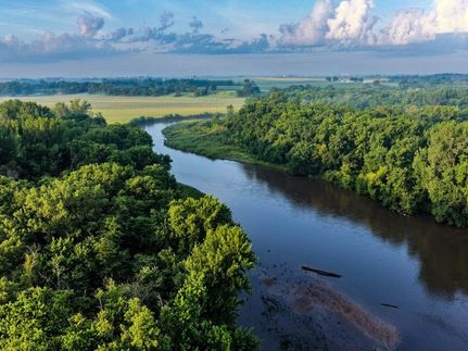 Land for sale in Greene County, Iowa
