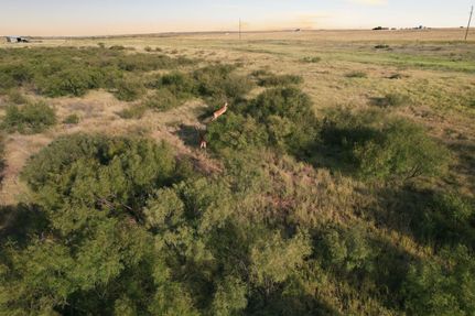Land for sale in Harmon County, Oklahoma