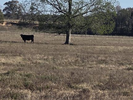 Land for sale in McCurtain County, Oklahoma